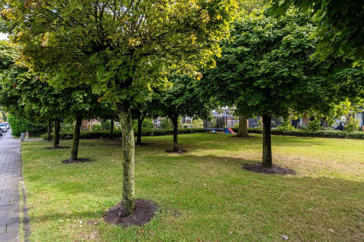 Te koop: Foto Woonhuis aan de Professor Rutgersstraat 41 in Vlaardingen