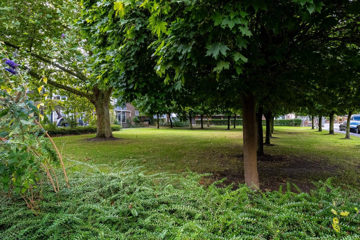 Te koop: Foto Woonhuis aan de Professor Rutgersstraat 41 in Vlaardingen