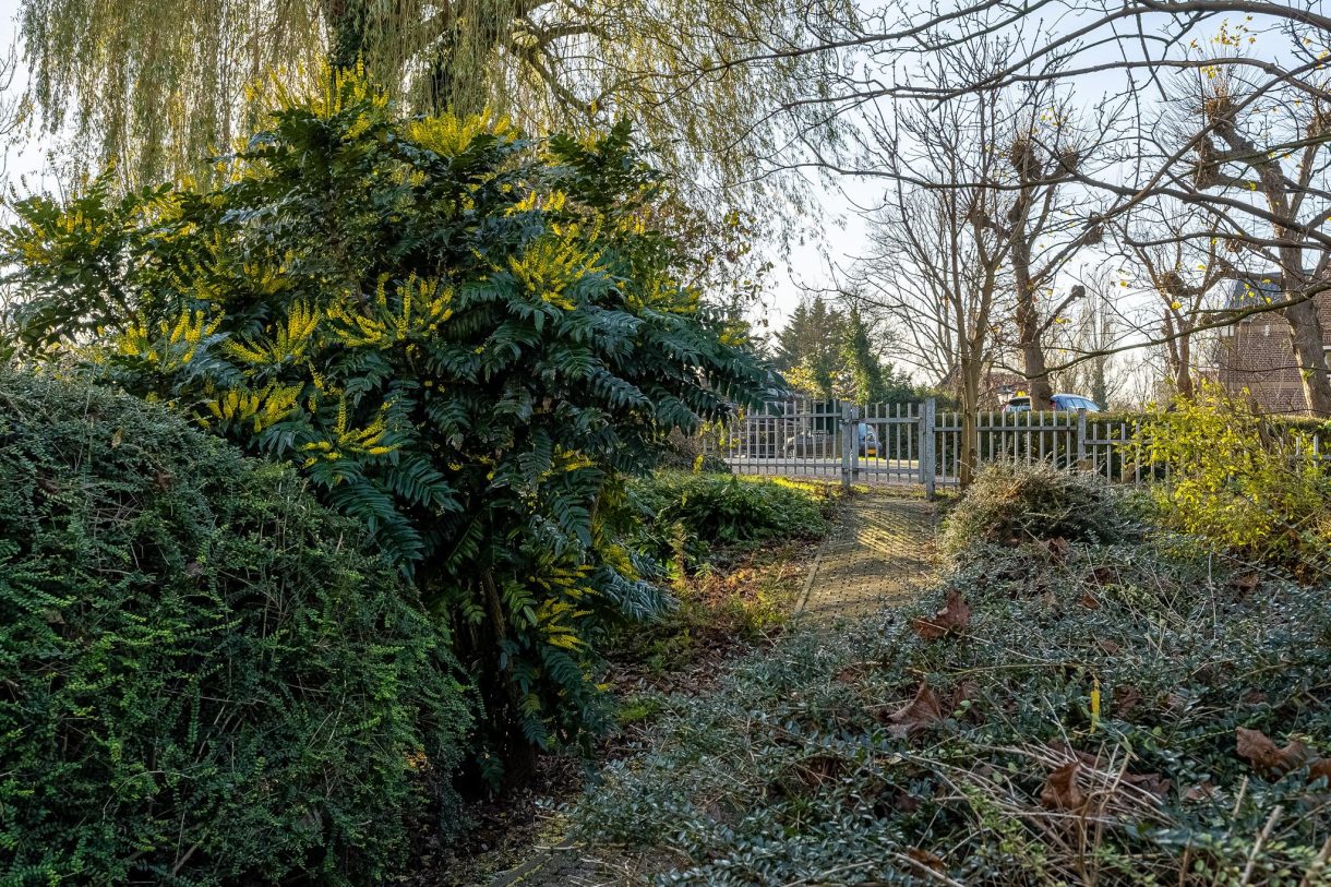 Te koop: Foto Woonhuis aan de Joppelaan 5 in Schiedam