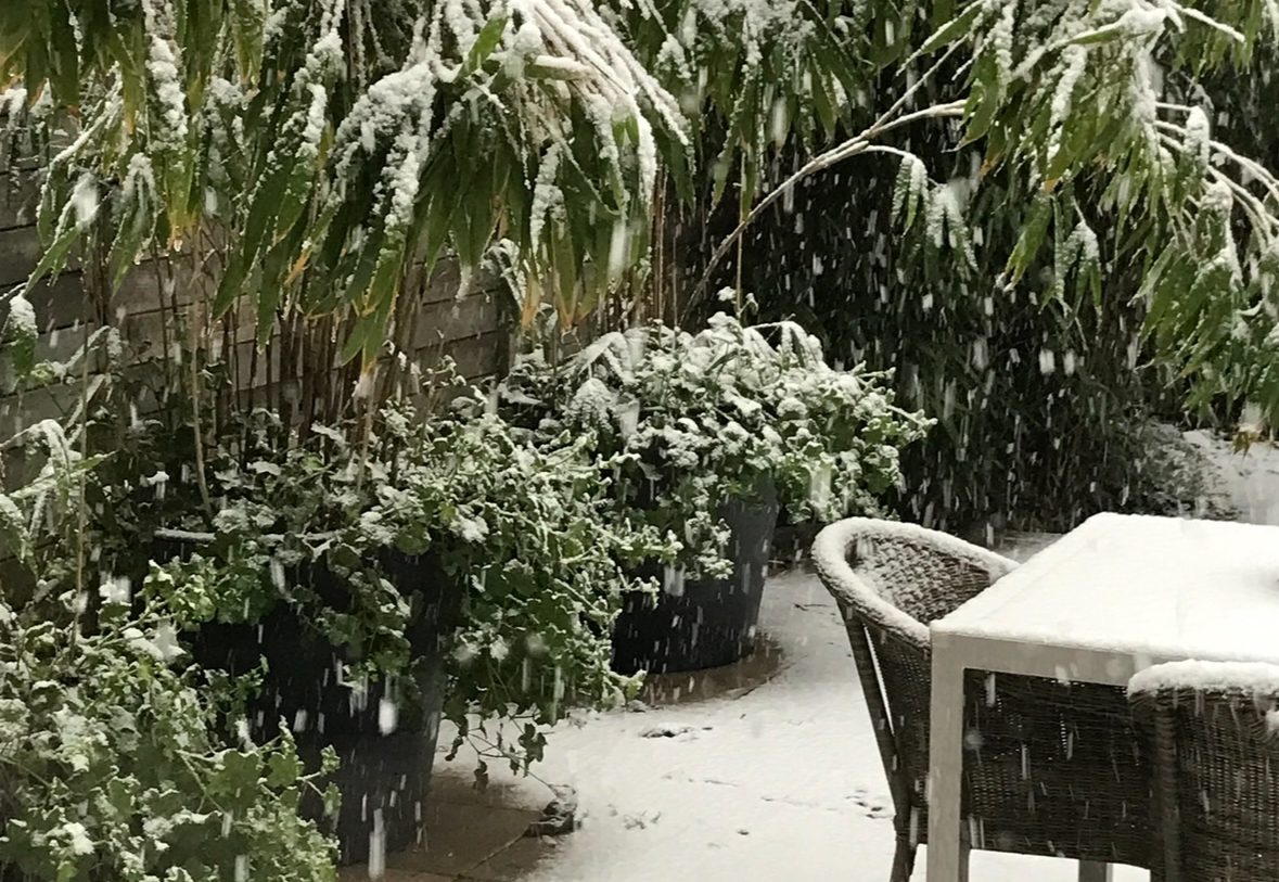 Te koop: Foto Woonhuis aan de Lavendelveld 23 in Schiedam