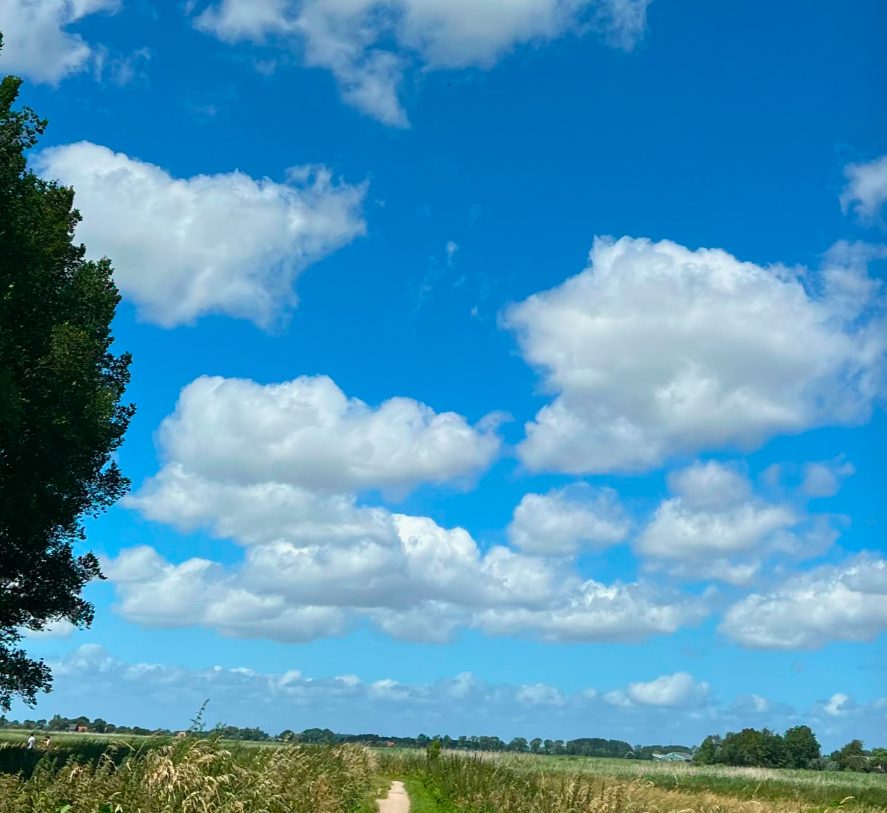 Te koop: Foto Woonhuis aan de Lavendelveld 23 in Schiedam