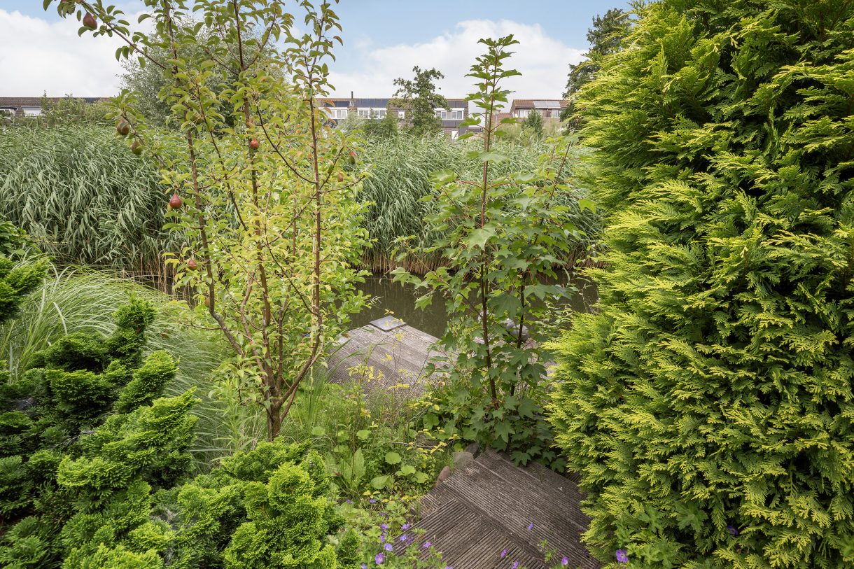 Te koop: Foto Woonhuis aan de Pruimengaarde 18 in Schiedam