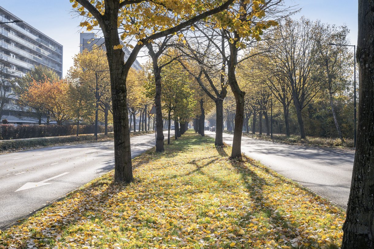 Te koop: Foto Appartement aan de Holysingel 590 in Vlaardingen